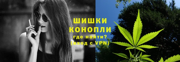 ПСИЛОЦИБИНОВЫЕ ГРИБЫ Бородино