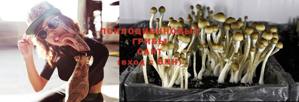 прущая мука Бронницы