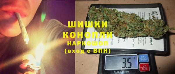 ПСИЛОЦИБИНОВЫЕ ГРИБЫ Бородино