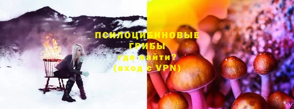 2c-b Богородицк